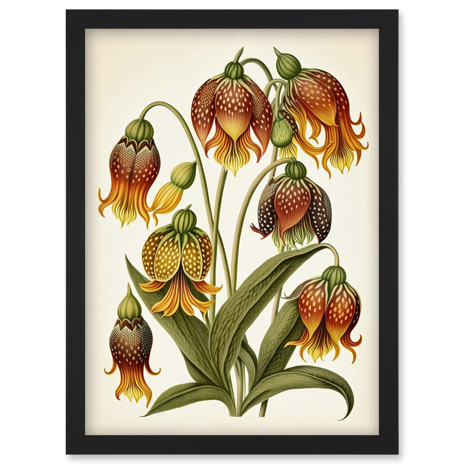 Artery8 Fritillaria Flower Print - Ernst Haeckel Inspired - Watercolour Illustration - Framed Wall Art - A4