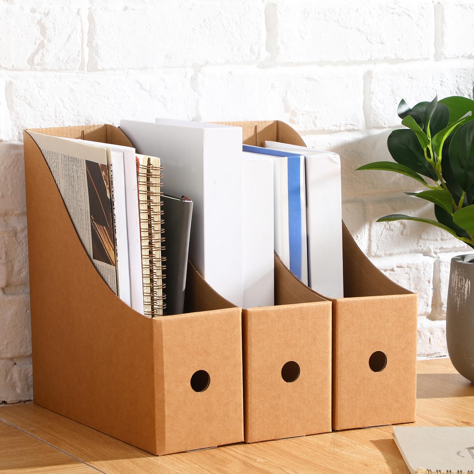 Thenshop Zeitschriftensammler aus Karton, mit Etikett, Aufkleber, Papier-Organizer, Aufbewahrungsordner für Schreibtischregale, Schule, Klassenzimmer, Bürobedarf (klassisch, braun), 24 Stück