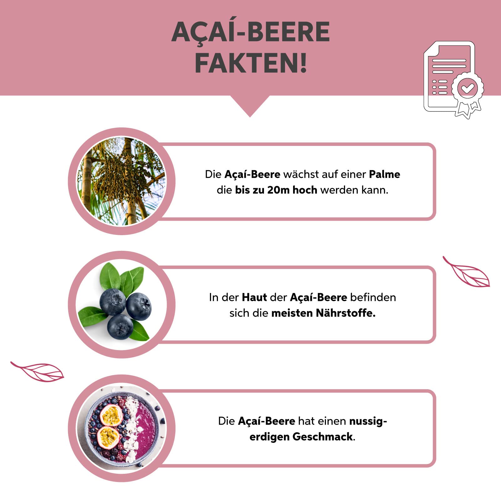 Acai Pulver 500g in Rohkost-Qualität | 100% rein ohne Zusatzstoffe und Vegan | Acaibeeren Pulver ideal für Bowl Smoothie Müsli Saft Sorbet