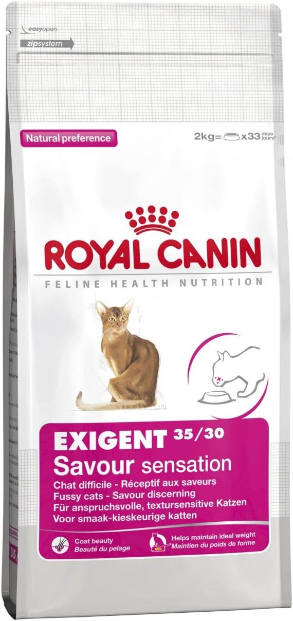 Royal Canin Digestive Care - Dry Cat Food