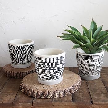 Amazon.co.jp: SPICE OF LIFE CCGH1810BK Flower Pot, Relief