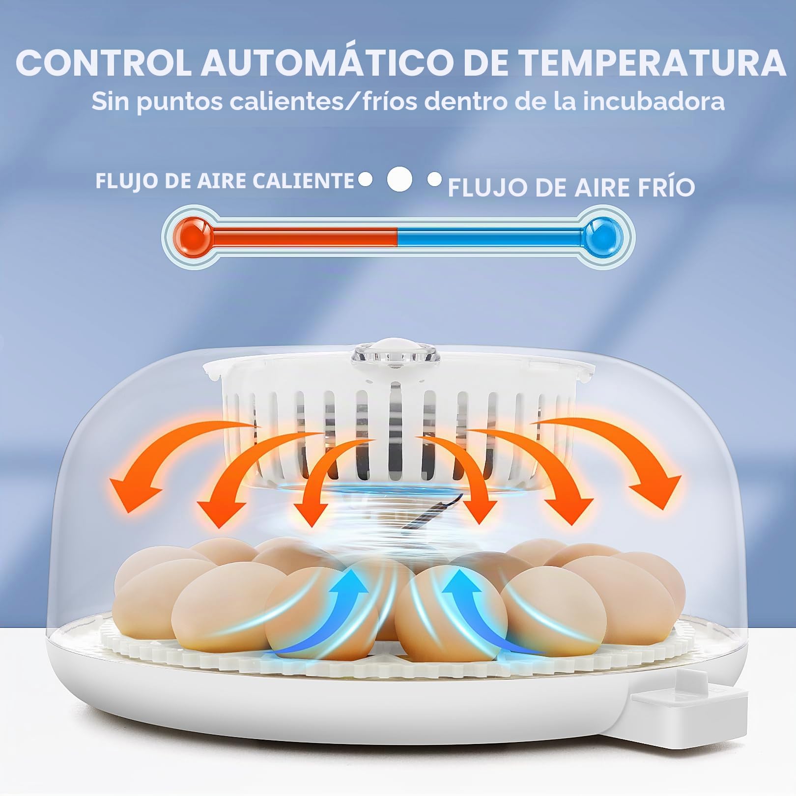 Sailnovo Incubadora Automatica de 18 Huevos Totalmente Automática, Pantalla ℉, Días de Eclosión, Nivel de Humedad, Rotación y Parada Automáticas, Vela de Huevo – Vista de 360° Incubadora