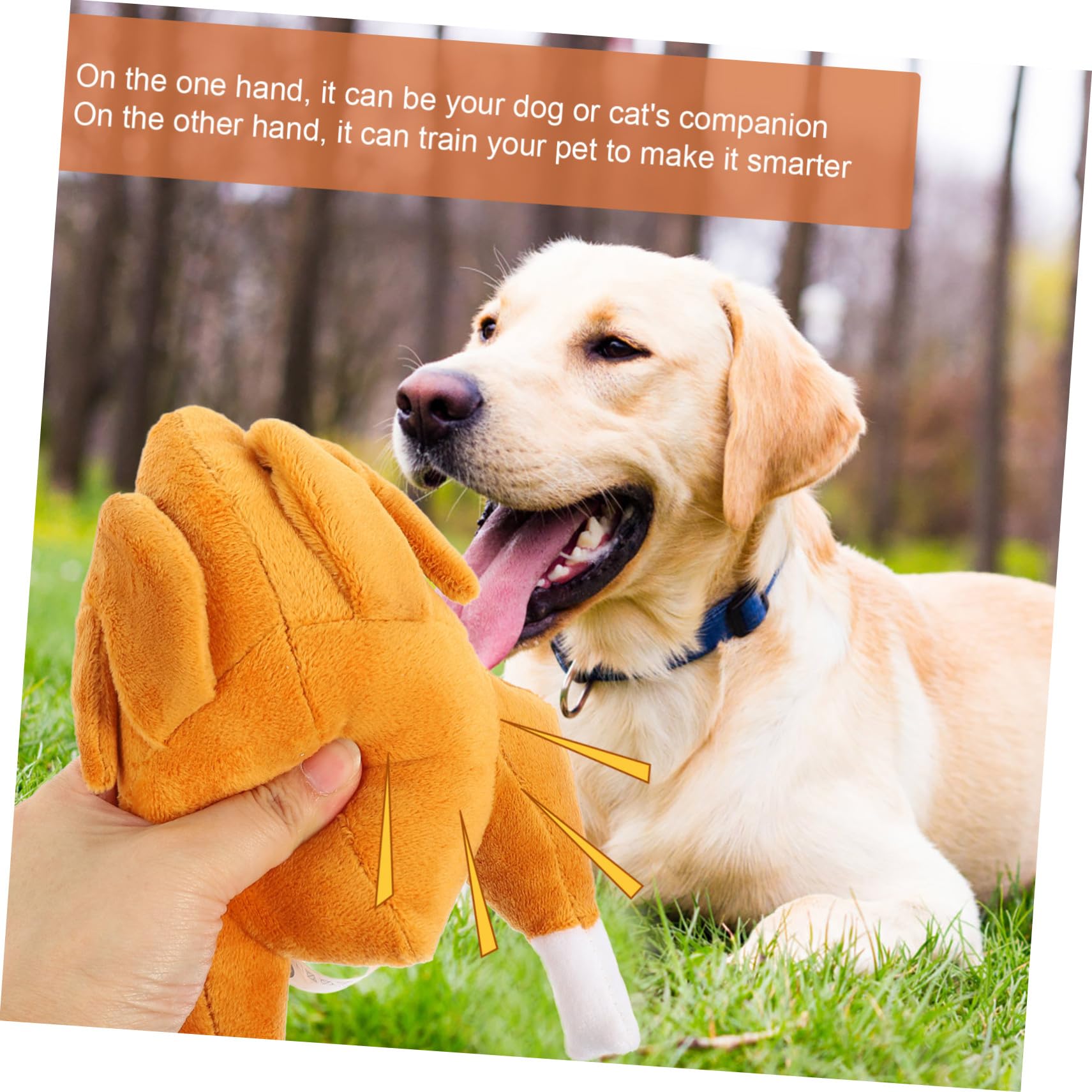 Kisangel 5pièces Jouet à Mâcher Squeaky pour Chiens Jouet Entraînement Sniffing Créatif pour Chiots Accessoire De Jeu Plein Air