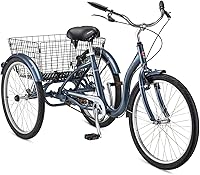 Vista 15 de Schwinn Meridian