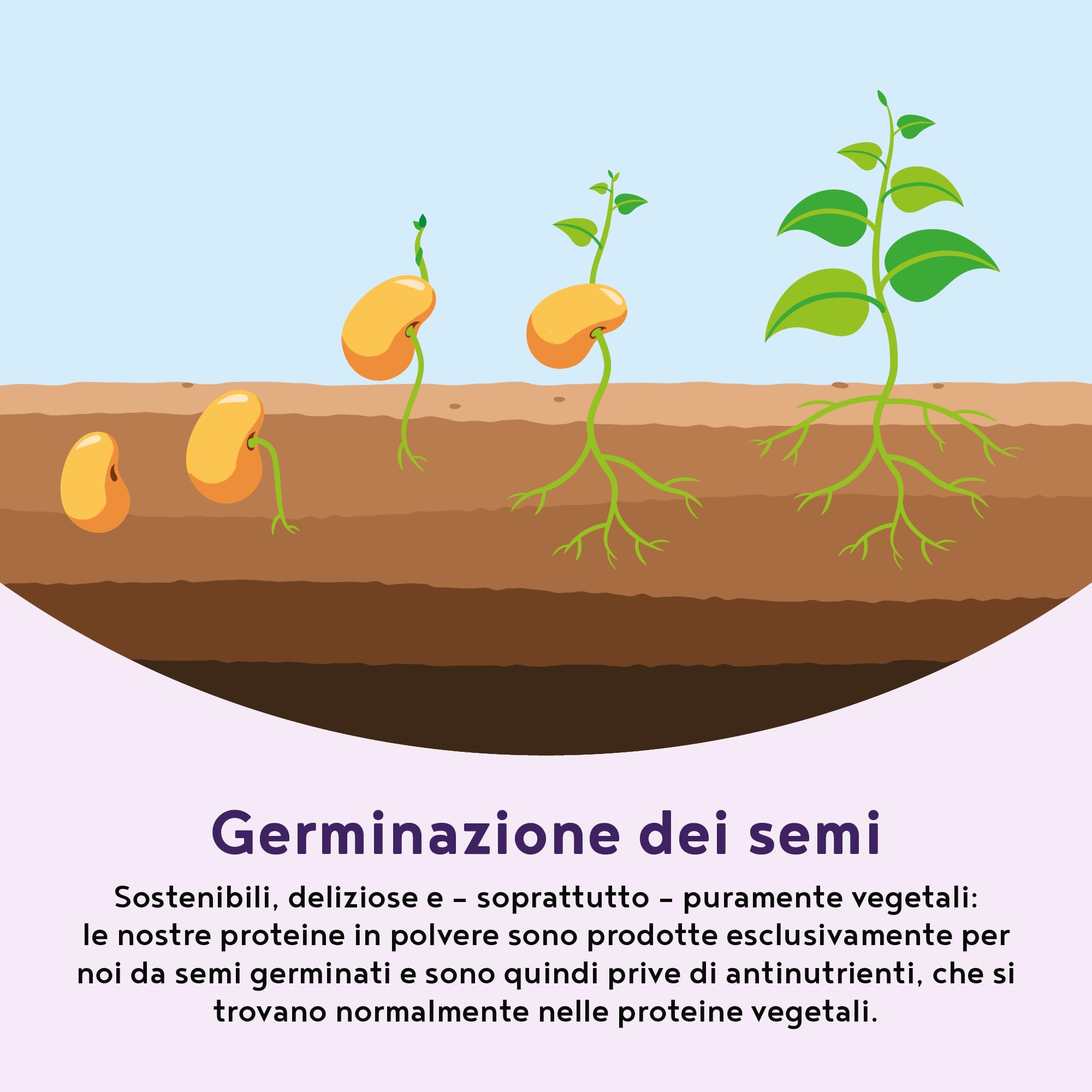 Proteine in Polvere Vegane | Gusto Mirtillo | 17g Proteine | Proteine Vegetali Isolate in Polvere di Pisello, Riso e Girasole | Massa Muscolare | 600g Vegan Protein Powder | Alpha Foods