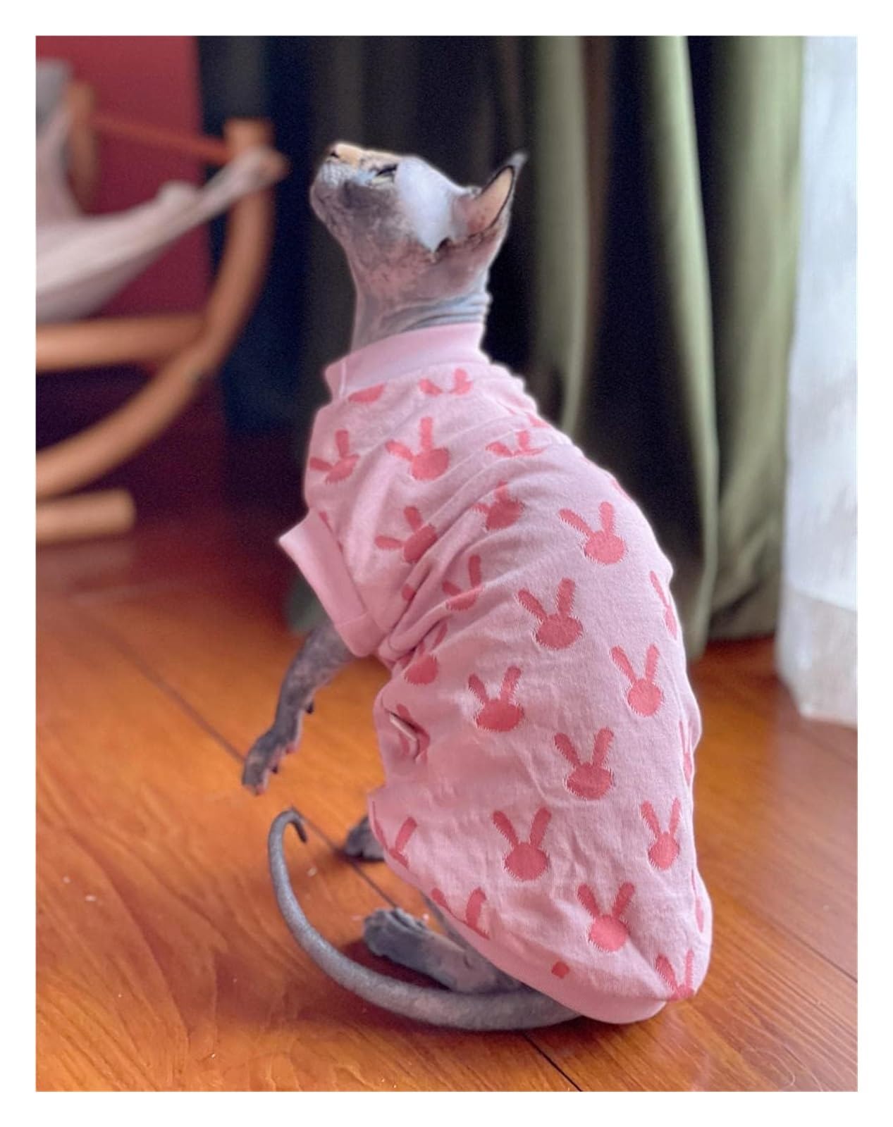 Odzież dla kotów, Ubranka dla kotów Hairness, bawełniane ubranka Sphynx/Devon z wzorem królika | M