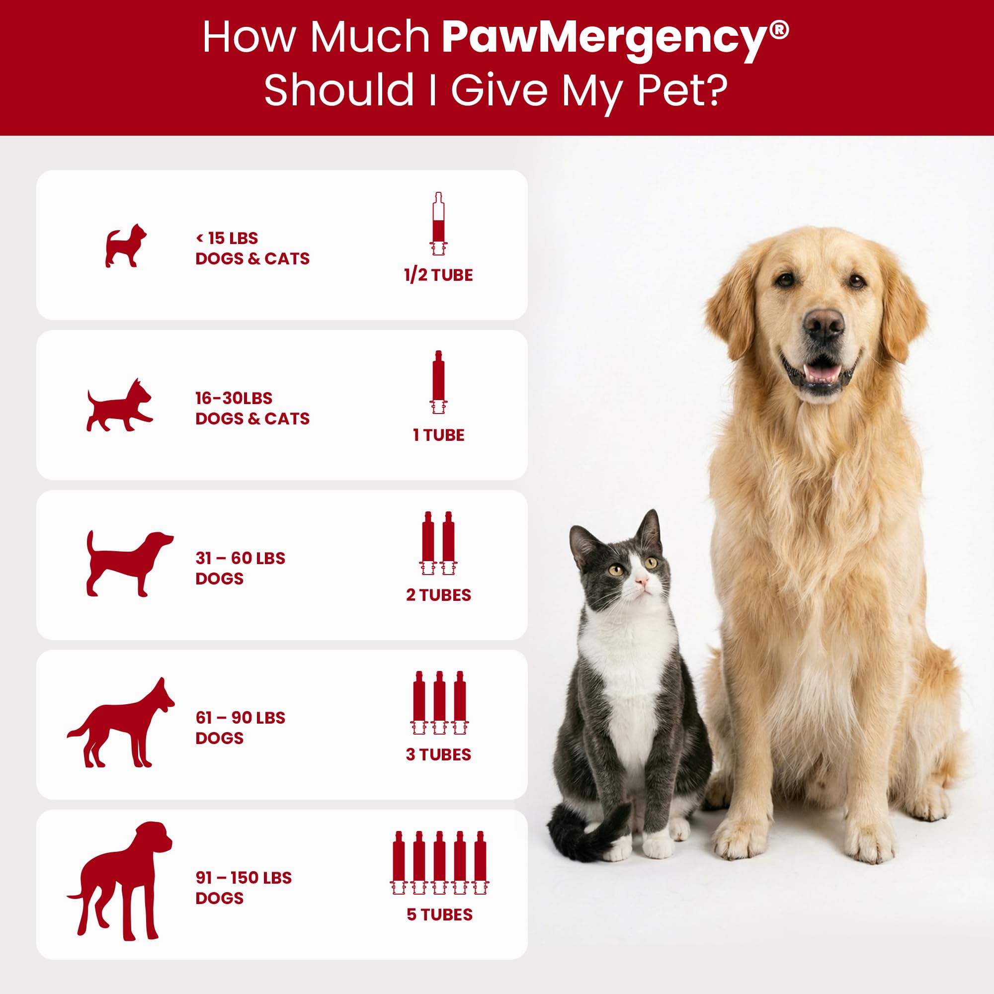 PawMergency – Activated Charcoal First Aid Kit Emergency Rescue for Dogs, Cats, Puppy & Pet Poison Kit, Camping Survival Remedy Essential,Oral Anti Diarrhea Digestive Paste Ready Absorb Toxins - image 3