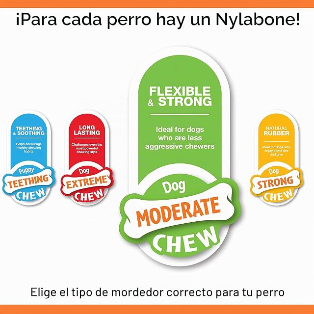Foto 4 de 6 de Nylabone - Small dog value Pack