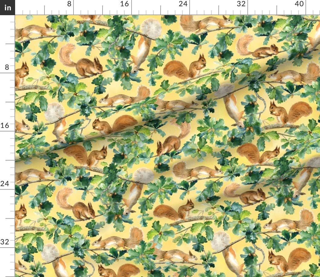 Spoonflower Fabric - Squirrels Watercolor Squirrel Animal Autumn Summer Tree Woodland Printed on Petal Signature Cotton Fabric by The Yard - Sewing Quilting Apparel Crafts Decor
