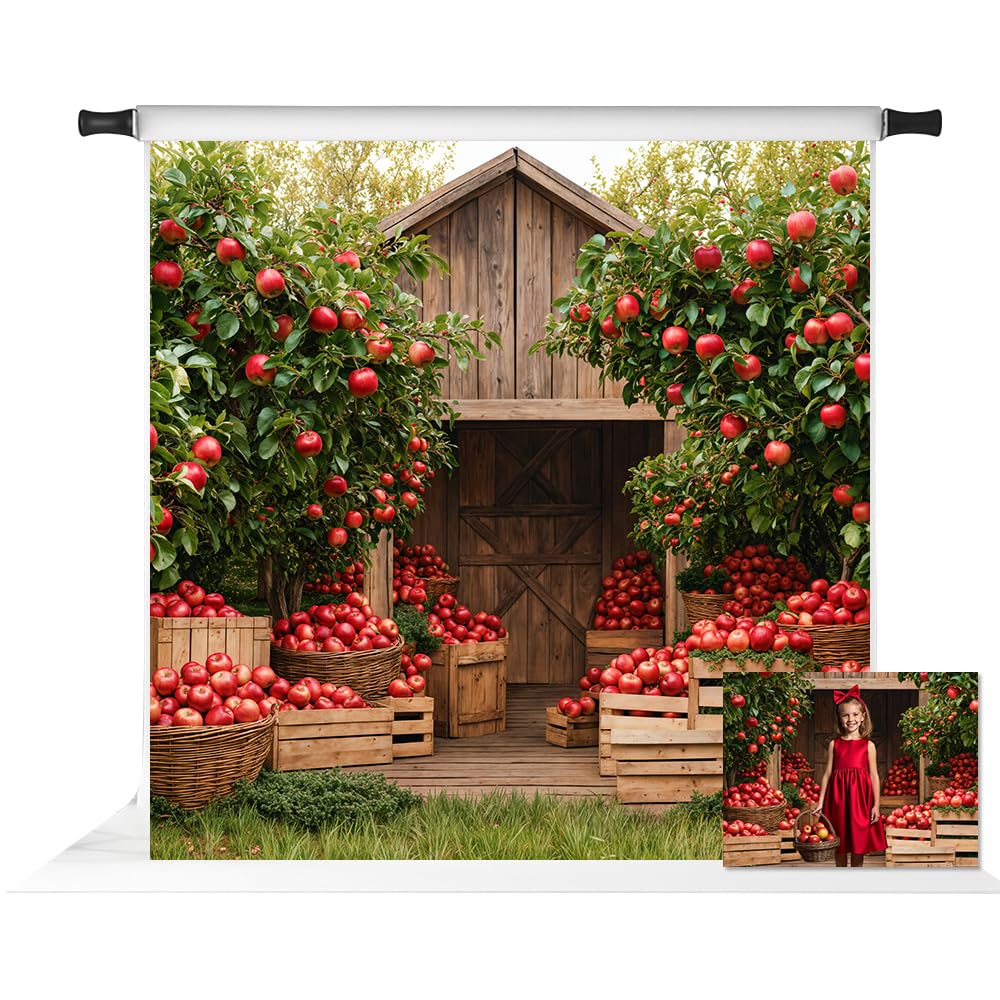 Toile de fond pommiers d'automne pour shooting sans reflets - 8