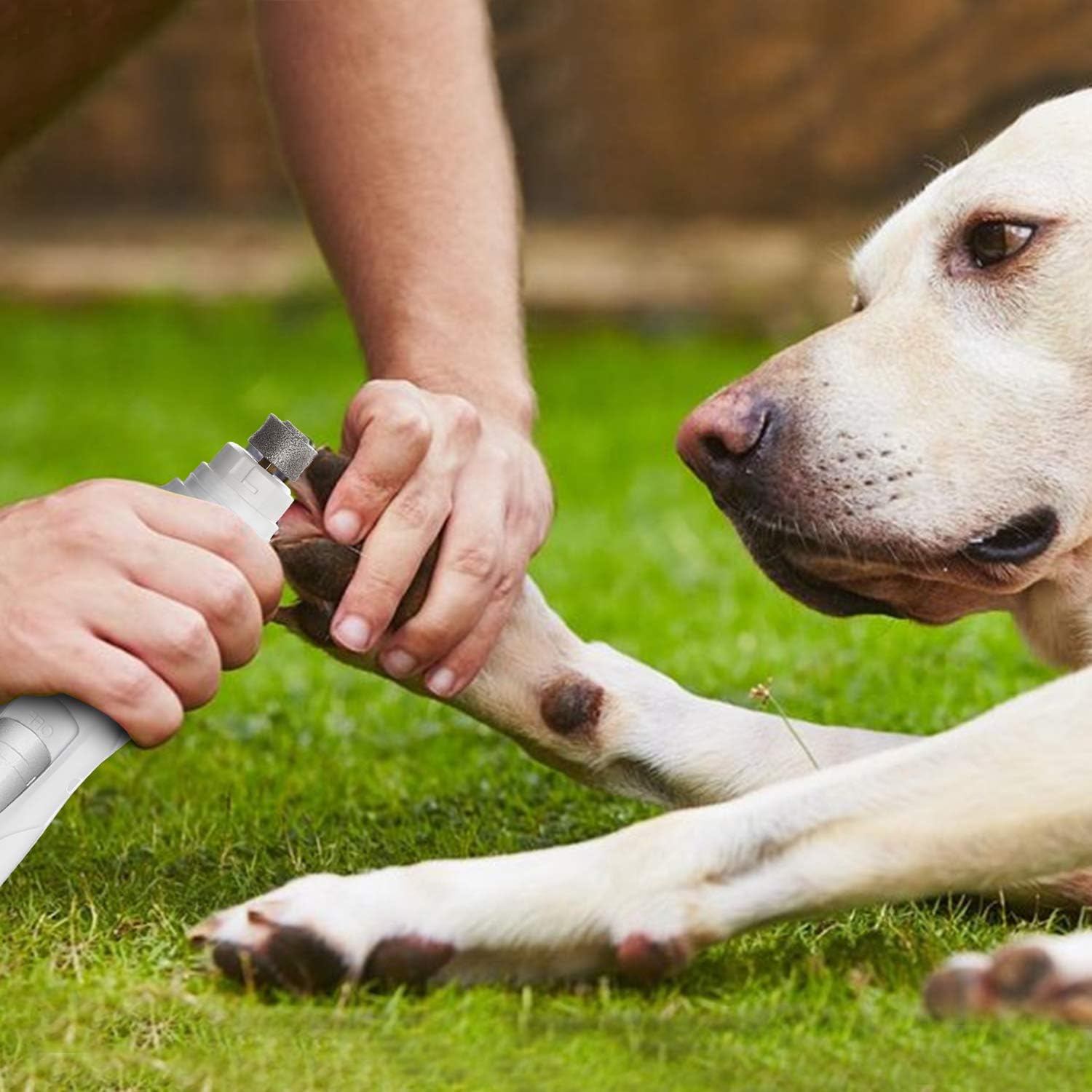 Toozey Dog Nail Grinder, Professional 2-Speed Electric Dog Nail Clippers Trimmer with 2 Grinding Wheels, Rechargeable Low Noise Dog Nail File Painless Paws Grooming for Small Medium Large Dog and Cats