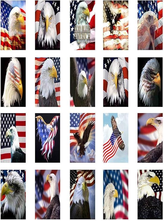 American Bald Eagle 85141 Ceramic Decal Enamel Decal