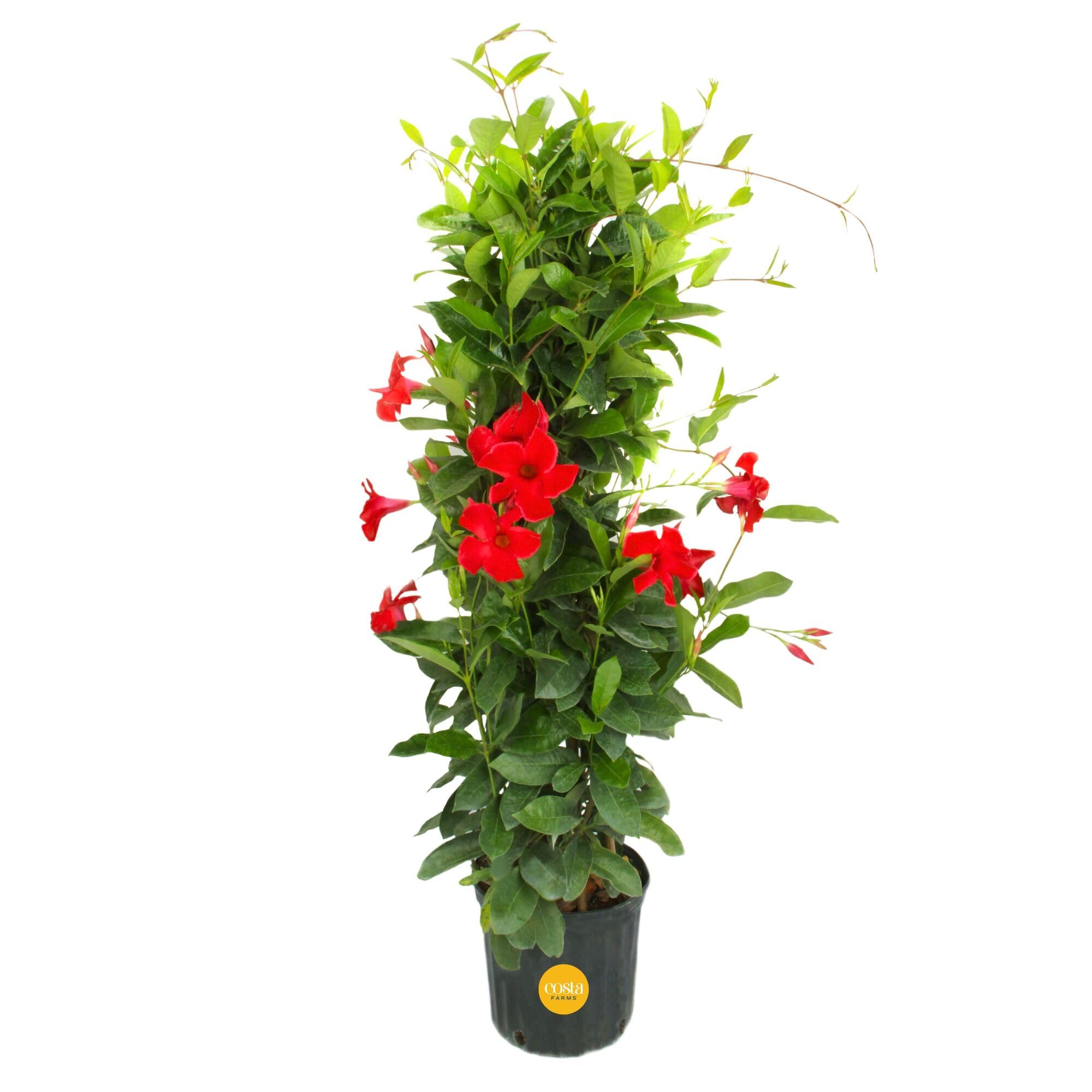 product_img5