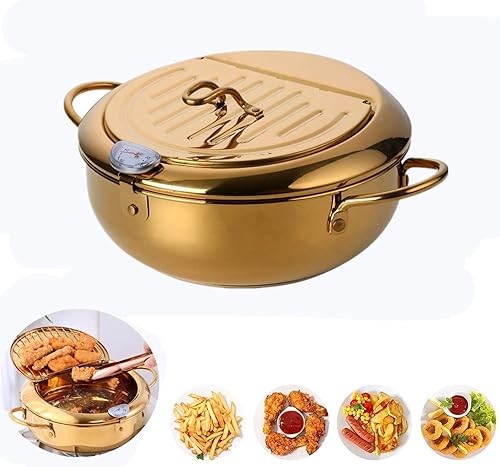 QIBOORUN Freidora de acero inoxidable Tempura con termómetro freidora de aceite, alas de pollo, tapa a prueba de polvo y estante de goteo de aceite