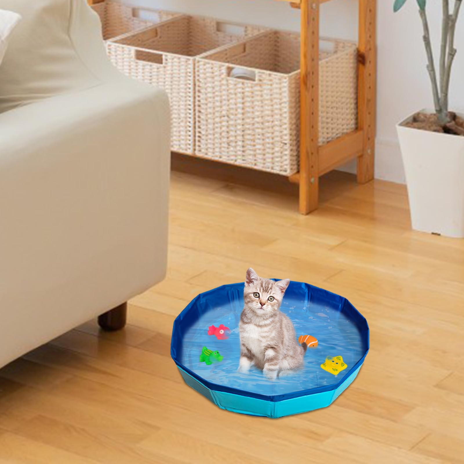 Piscine pour chat - 50 x 10 cm - Pliable - Avec 6 jouets - Mini piscine pour chat et chien - Jouet d'eau - Mini piscine pour l'été (B)