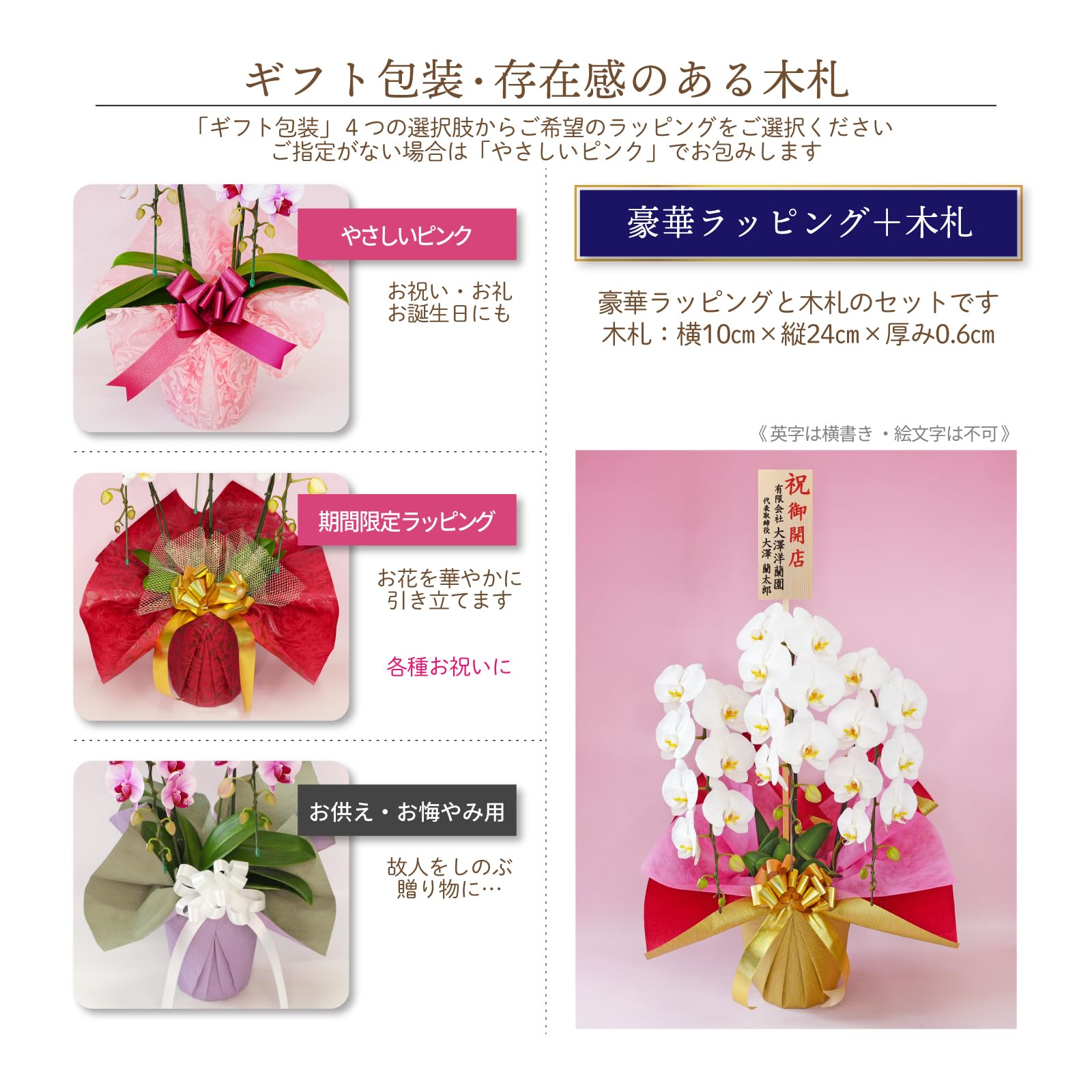 Amazon｜ふじみ野ラン園 大輪胡蝶蘭3本立ち（現在つぼみ多め） 会社
