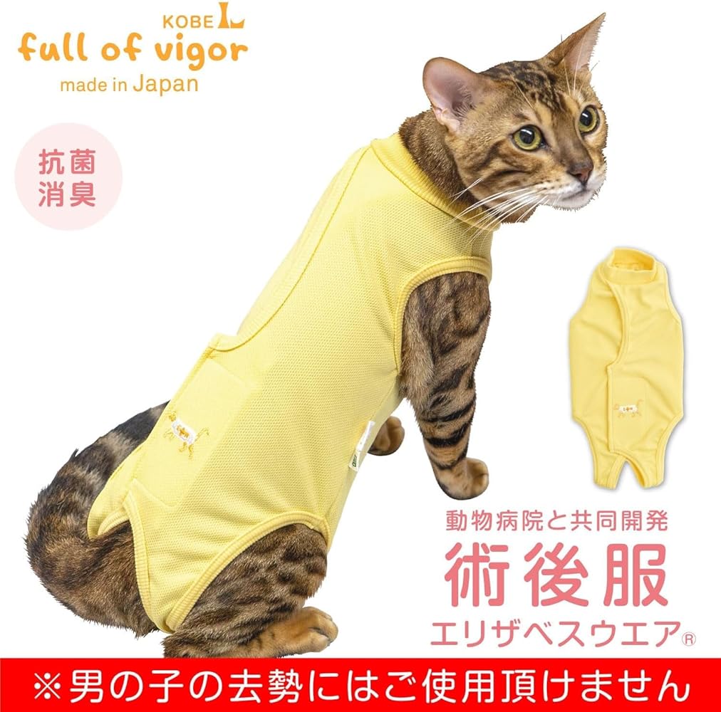 Amazon.co.jp: 猫 男女兼用 術後服エリザベスウエア（R）8/イエロー