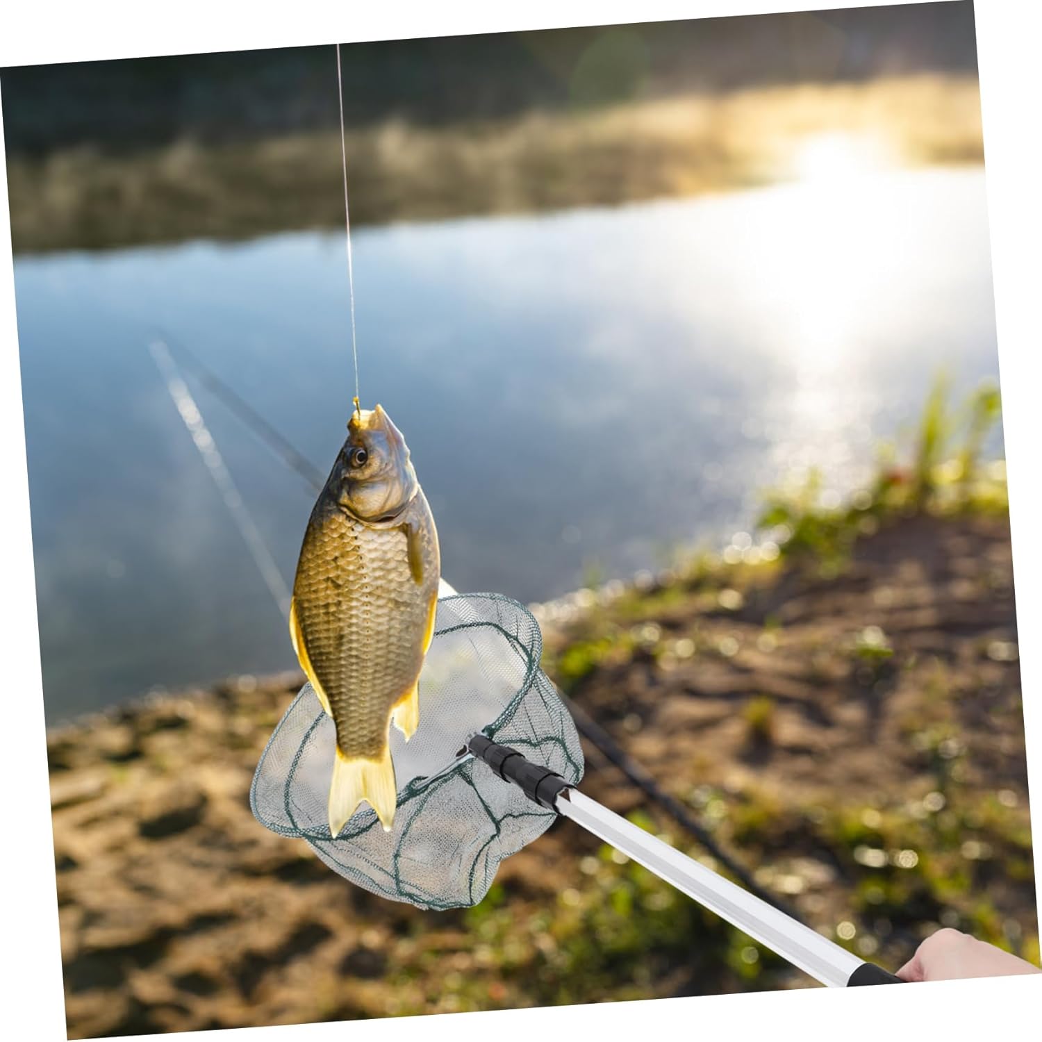 POPETPOP 1.5M Collapsible Fish Net with Telescoping Aluminum Alloy Handle Foldable Fishing Net for Catch and Release Aquariums Lakes Ponds Design