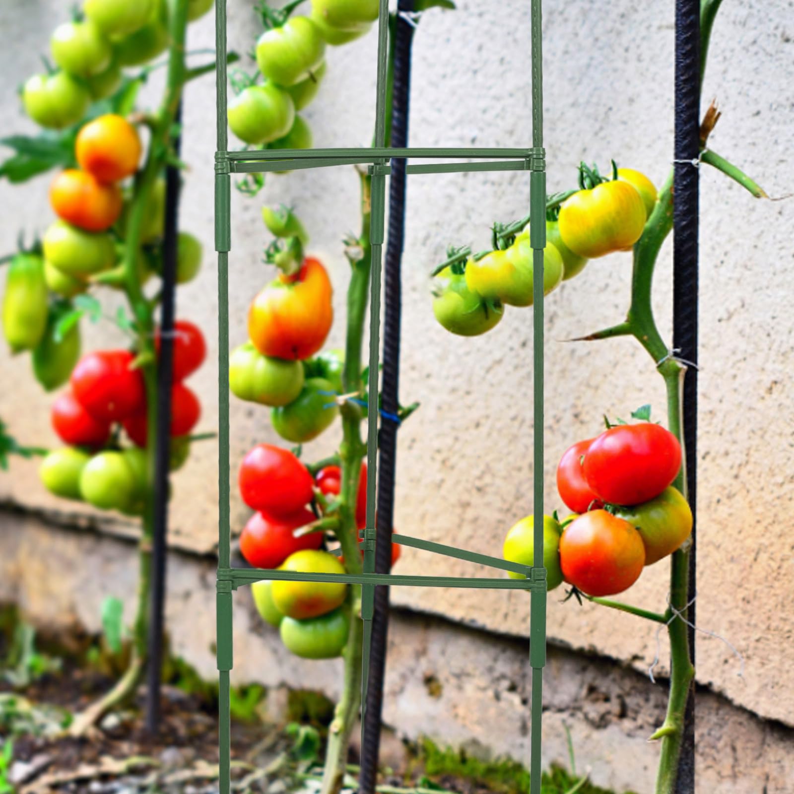 3 Set Sostegno per Pomodori e Piante Rampicanti da Giardino Verde