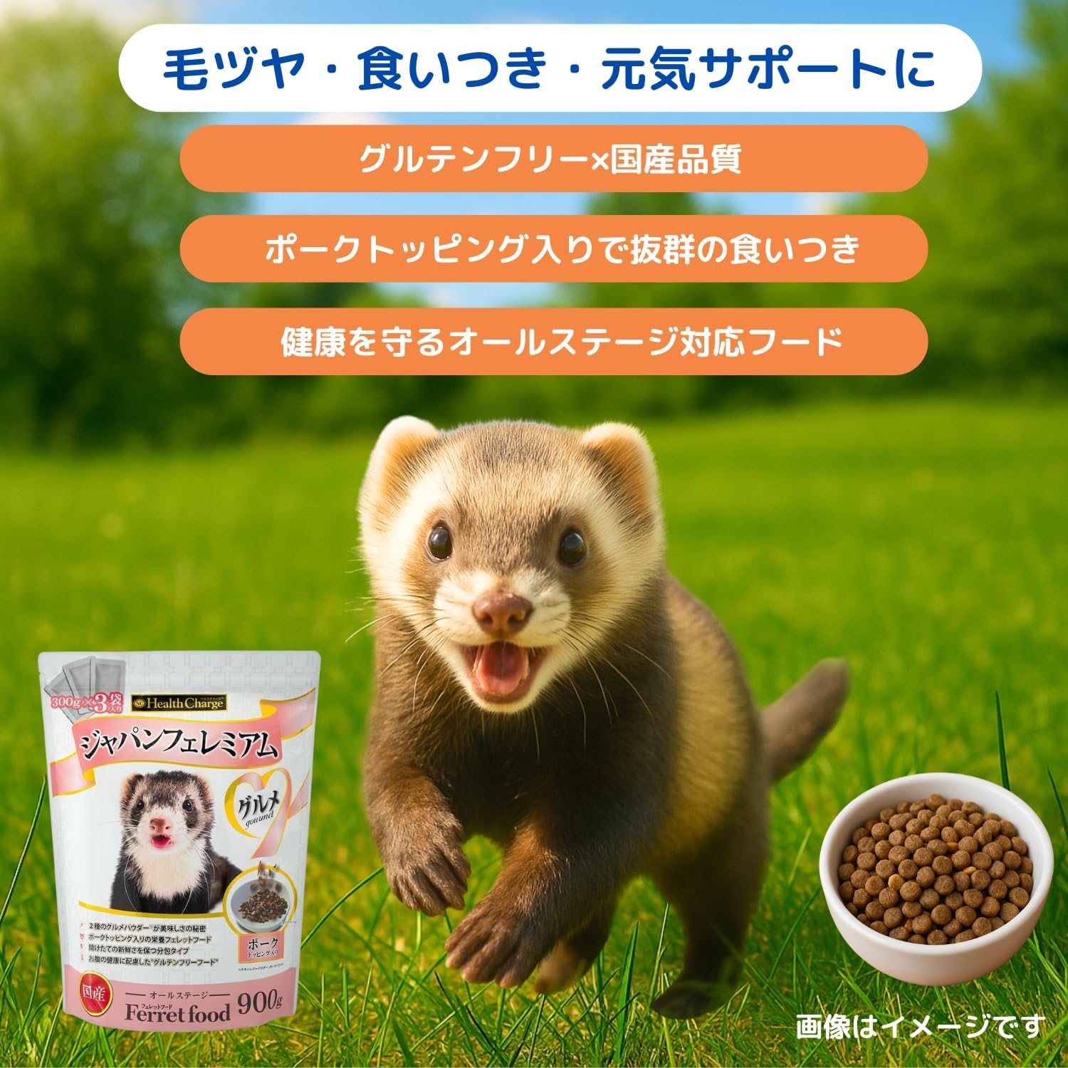3袋】ジャパンフェレミアム 1kg フェレットフード 【公式通販】