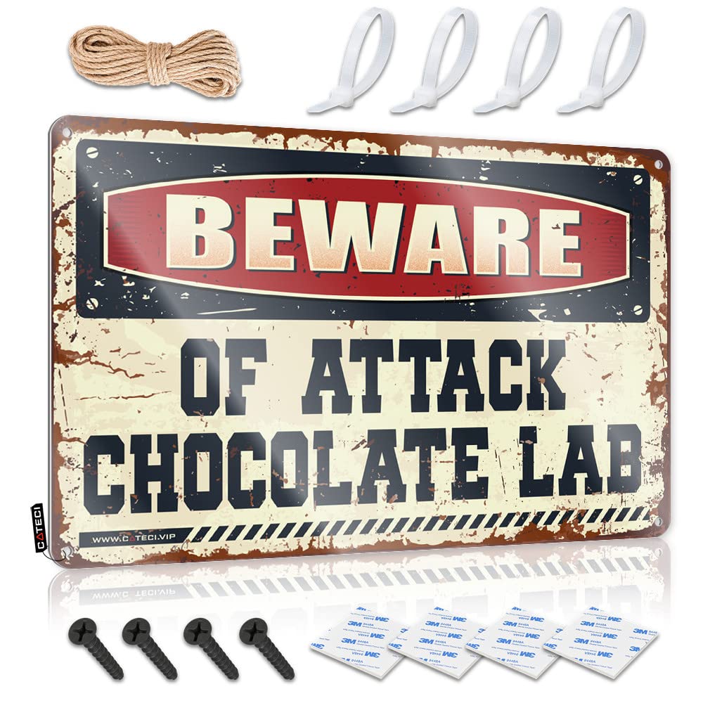 Fzfn Colour Tin Metal Sign Pool Stuff Vintage Wall Decor | Beware Of Attack Chocolate Lab Inappropriate Custom For Street Home Decoration(20X30cm)