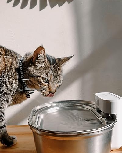 Miniatura 7 de uahpet Fuente de agua para gatos de acero inoxidable, fuente de agua inalámbrica para mascotas de 67 oz2 L, dispensador de agua para perros a pilas,
