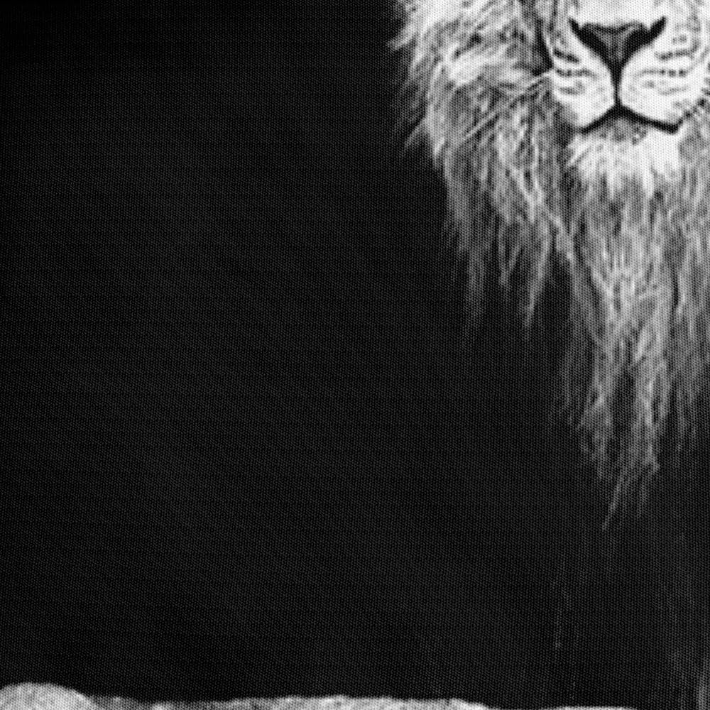 Lion Couple Duvet Cover Set with Pillow Shams Animal Lions Pattern King Black Bedding Sets