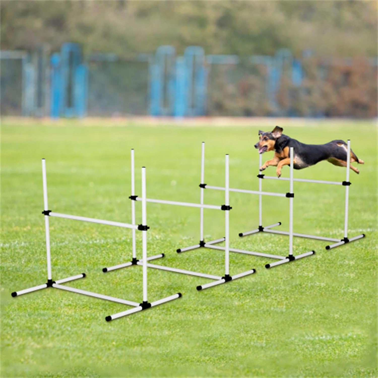 White 4-pack adjustable dog agility jumping training rack, pet training rack, training dog jumping obstacles, with carrying bag, suitable for indoor and outdoor, dog agility training course game