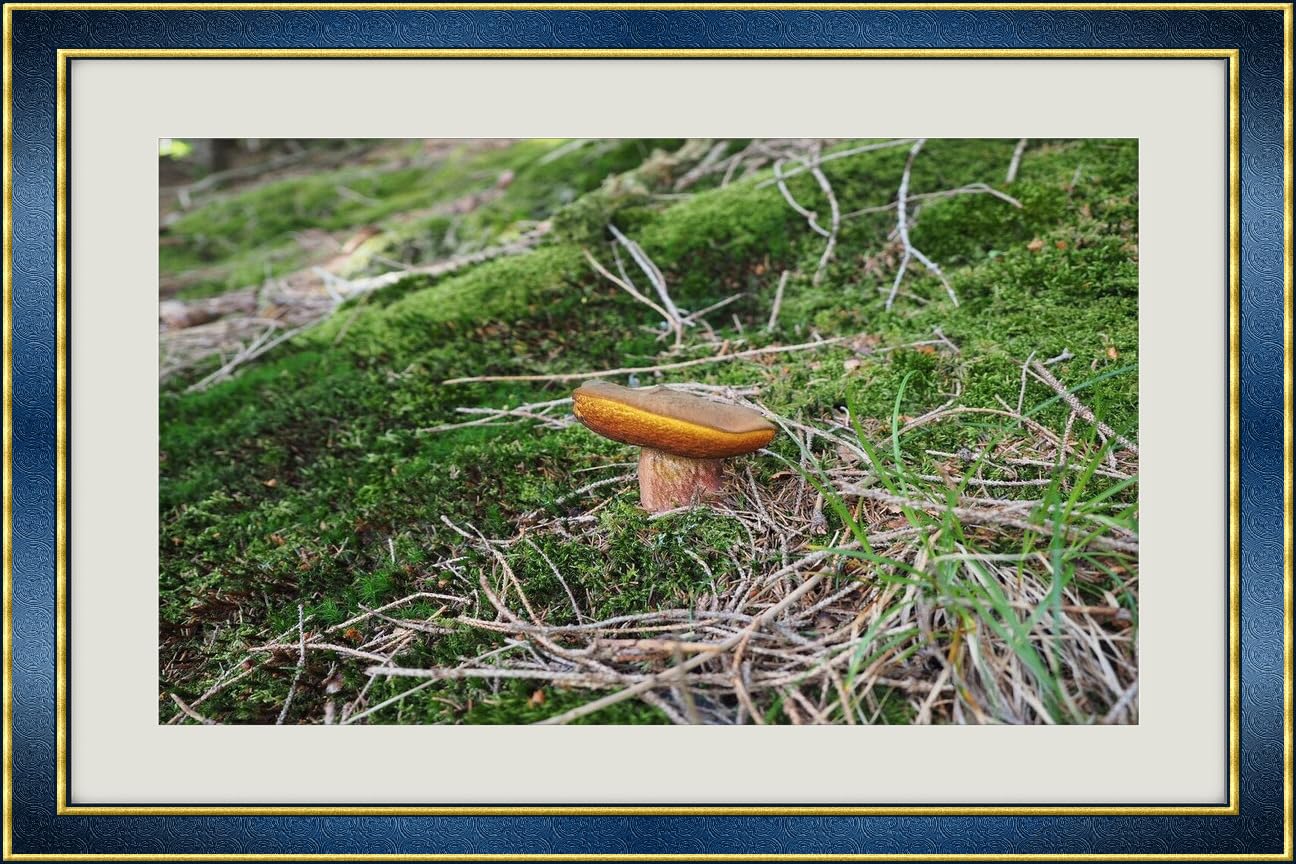 JVERF - JZZH24860 Mushrooms Nature Penny bun Moss| Self-Adhesive