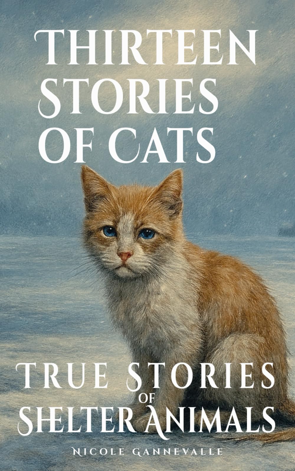 Thirteen Stories of Cats: True Stories of Shelter Animals