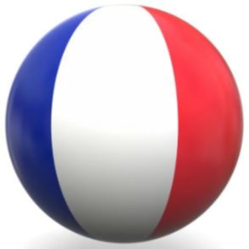 English French BiTranslator