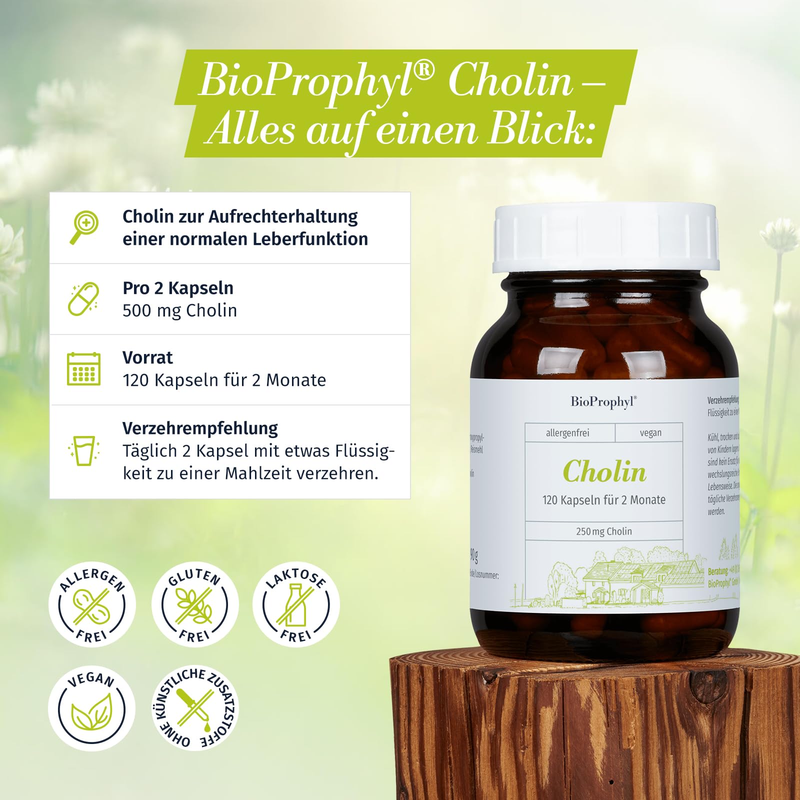 Cholin - 250 mg Cholin aus VitaCholine® - 120 Kapseln - Cholin Kapseln hochdosiert