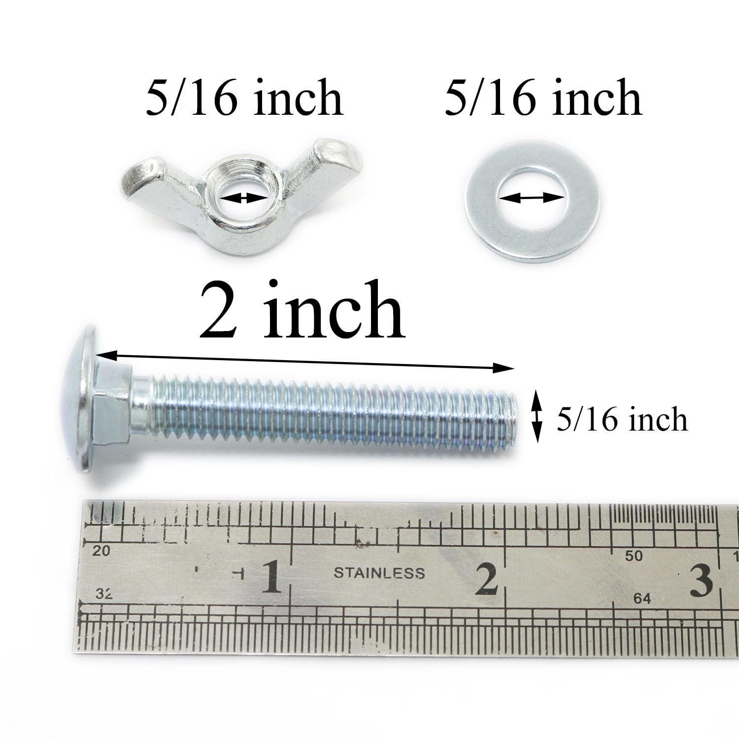 CARRIAGE SCREWS SS 5/16-18X2-1/2 | ACE Hardware