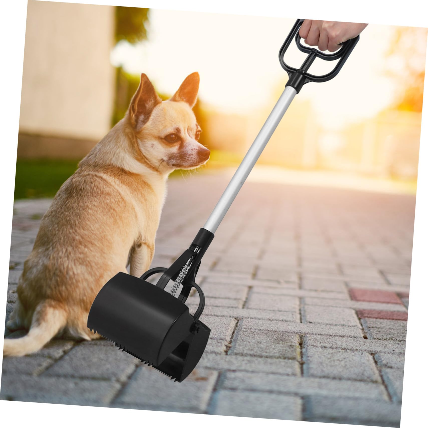 Ramasse-Crottes pour Animaux de Compagnie Long Manche Outil Pratique de Nettoyage et Solide pour et Chiens Couleur Aléatoire