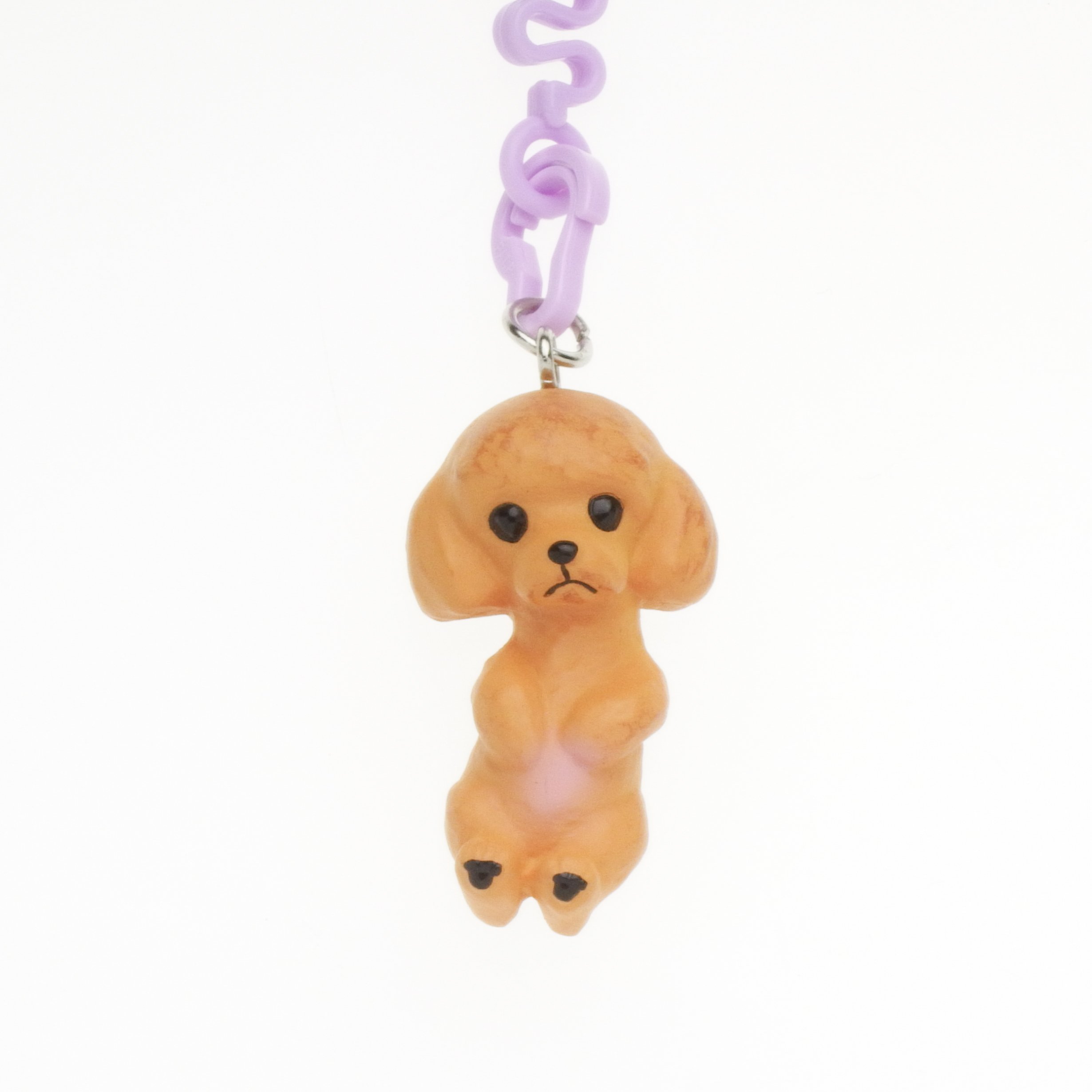 ワンコ様2 Amazon.co.jp: ペットラバーズ 犬種 お犬様 vol.2 Toy Poodle