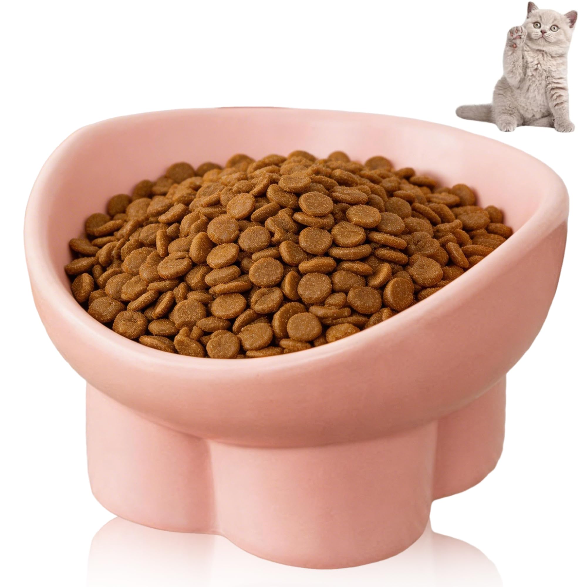 Raised Cat Bowls, Cat Food Bowl, Ceramic Cat Bowls – 15° Tilted Design, Easy-Clean, for Cats & Small Dogs (Pink)
