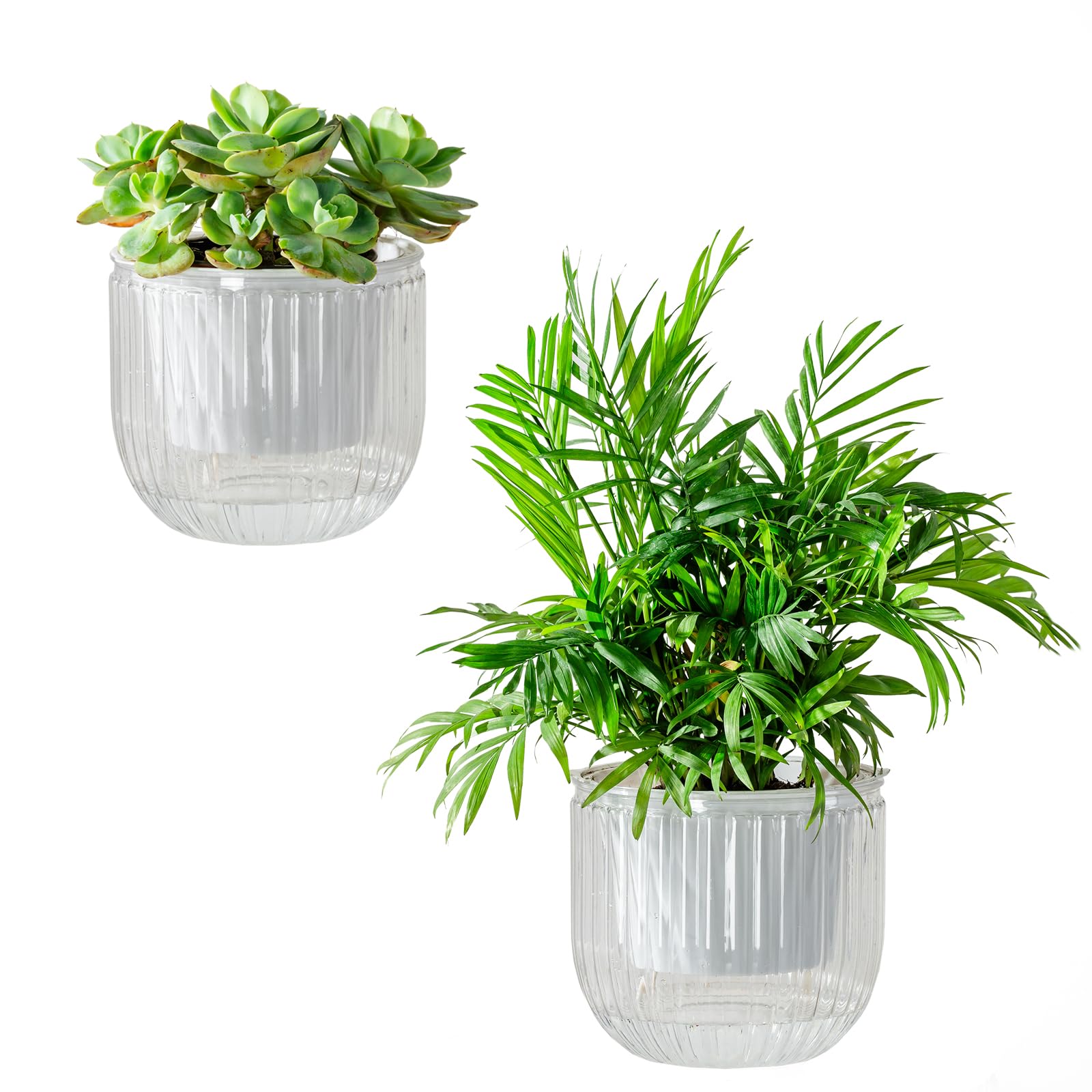 Confezione da 5 vasi trasparenti autoirriganti da 10,9 cm, piccoli vasi in plastica per piante da interno, erbe, viola africana, pianta ragno oceanico, vaso per orchidee, vasi da giardino
