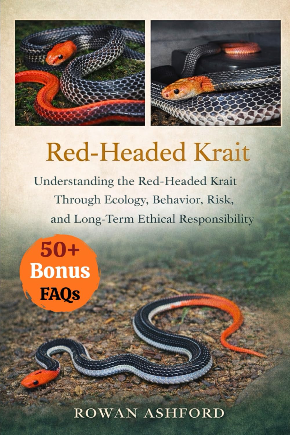 RED-HEADED KRAIT: Understanding the Red-Headed Krait Through Ecology, Behavior, Risk, and Long-Term Ethical Responsibility