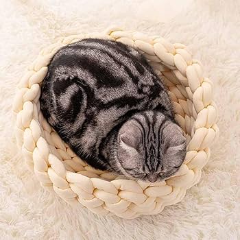 Amazon | [JUI3N] 猫 ベッド 犬 ベッド 冬 60cm もふもふ ペット
