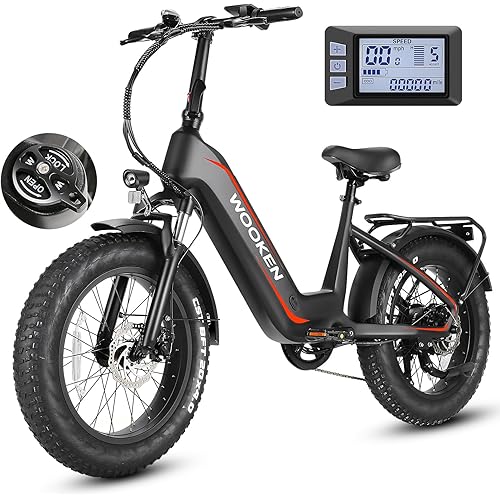 Wooken Electric Bike for Adults, Peak 1000W Motor Ebike,20"x4.0" Fat Tire Electric Bike,48V 624WH Removable Lithium-ion Battery,Up to 60 Miles,Step-Thru Electric Mountain Bike,SGS Certified to UL 2849
