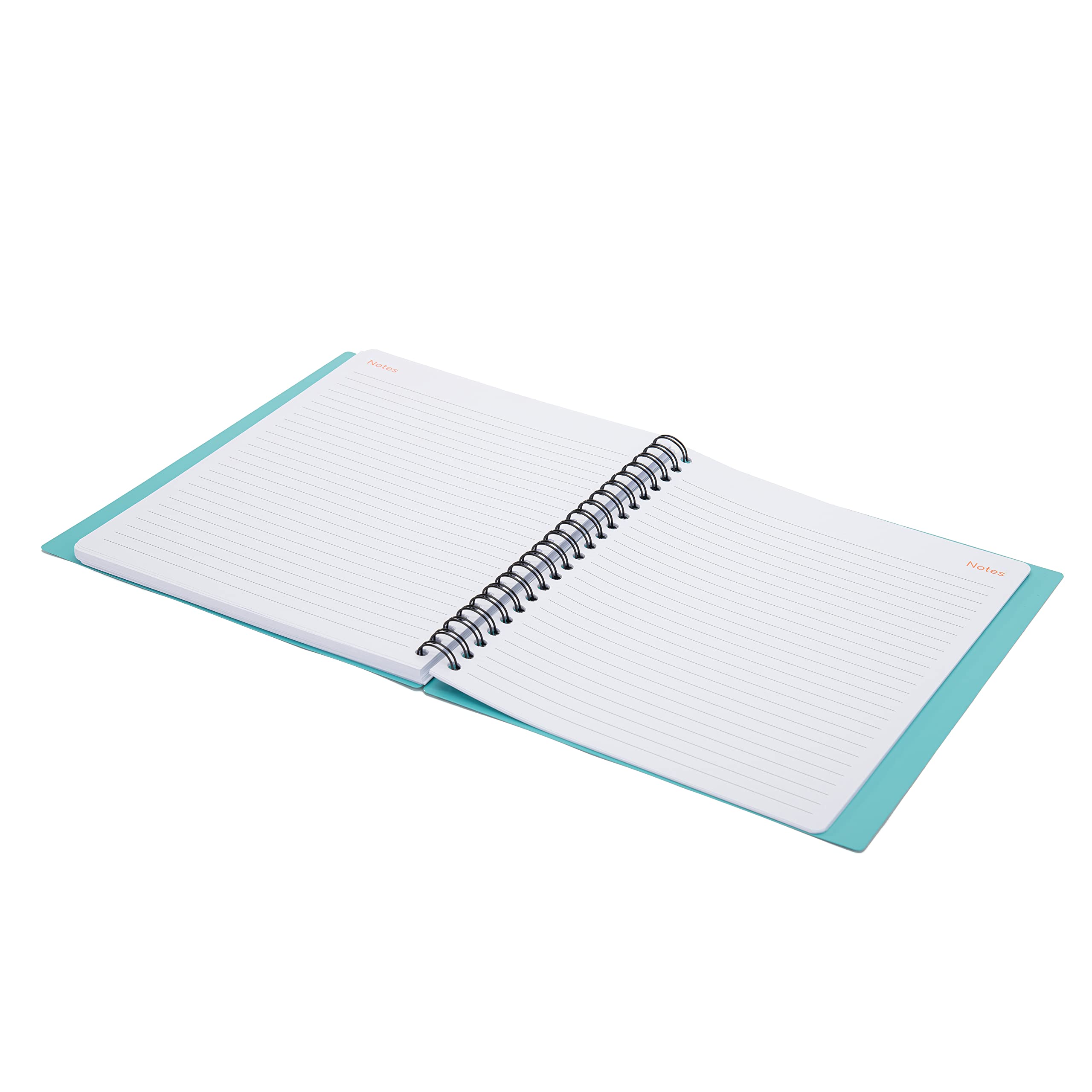 Mintra Office Niedatowany planer tygodniowy/miesięczny (list, turkusowy)