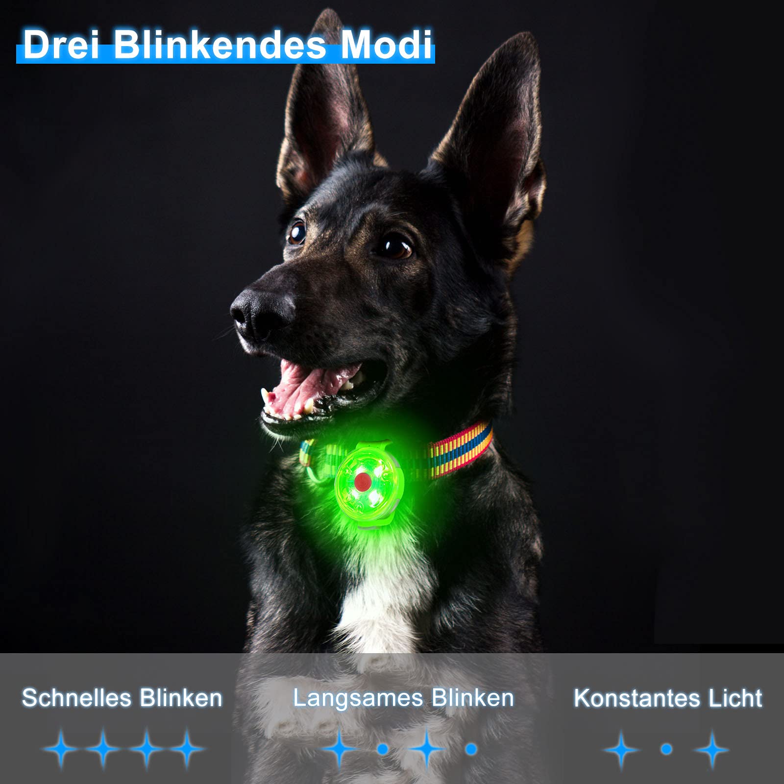 Sicherheits lampa LED z migającym światłem dla psów, kotów, ładowana przez USB, 3 tryby migania, wodoszczelna, bezpieczeństwo dla zwierząt domowych