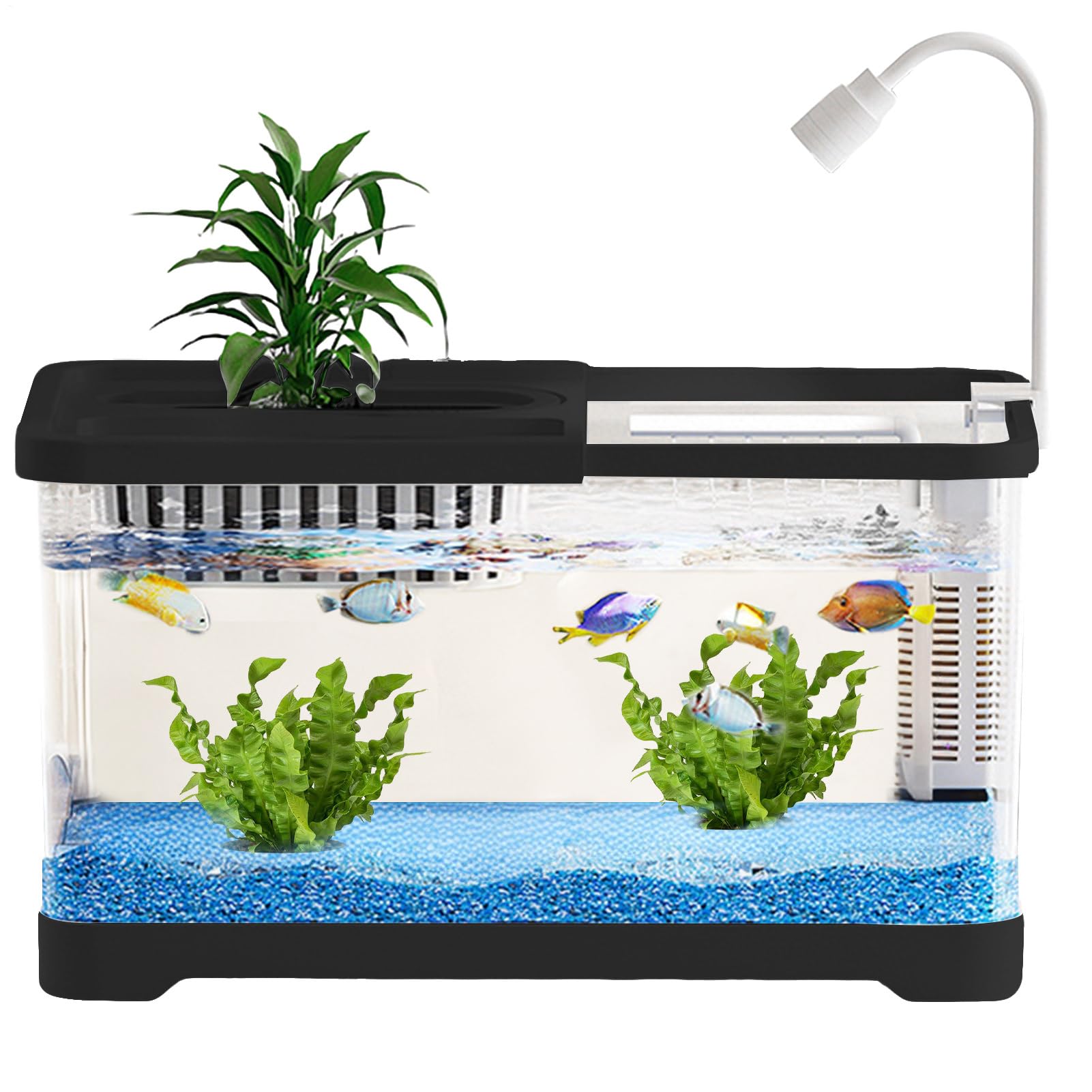 Ensemble initial pour aquarium - Mini réservoir de 2,5 gallons, biosphère cristalline à faible entretien, filtrage et éclairage intégrés, conception de pot compact | Bureau pour ,