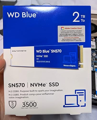 Western Digital Internal Internal SSD 1TB WD Blue SN570 (Maximum