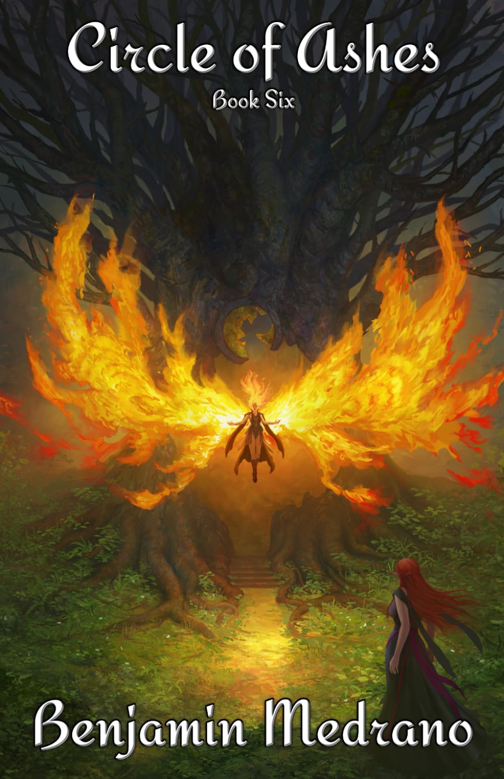 Circle of Ashes: 6 (Through the Fire)