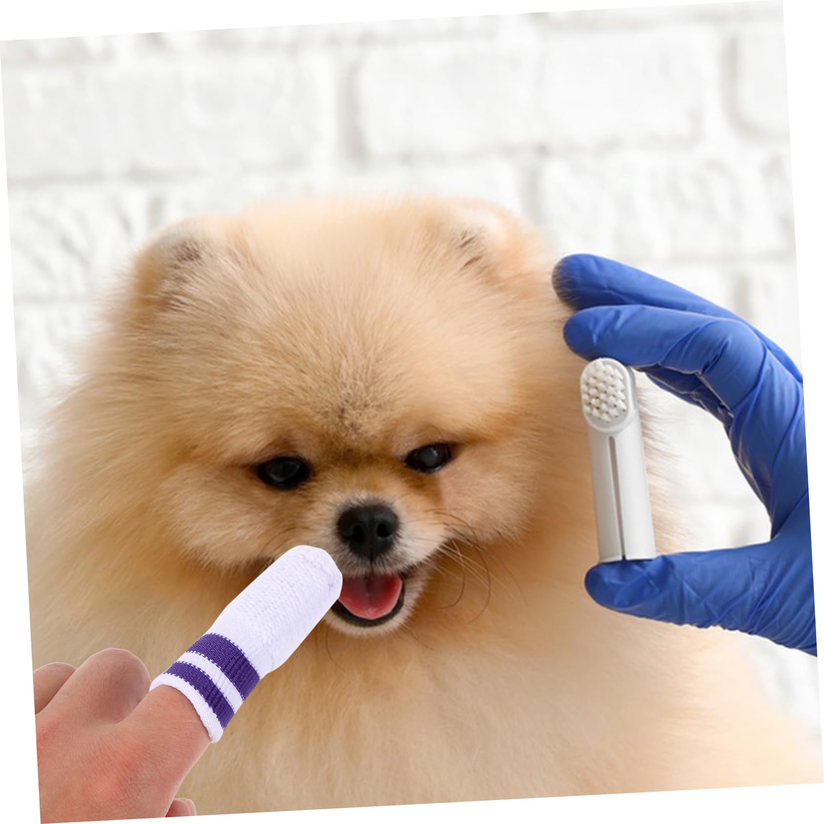 BESPORTBLE 30stücke Teiliges Katzen Und Hundezahnbürsten Nylon Sanfte Fingerzahnbürsten Für Mundpflege Von Haustieren Für Frischen Und Zahnhygiene