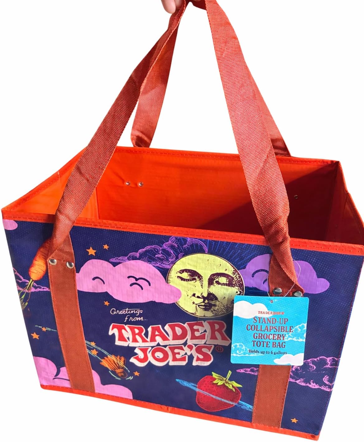 Trader Joe's New Stand -Up Collapsible Reusable