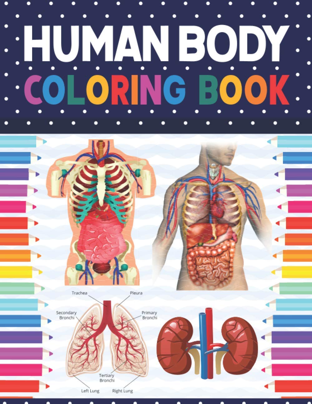 Human Body Coloring Book: Human Anatomy Workbook.Human Body Coloring & Activity Book for Kids. Human Body Anatomy Coloring Book For Kids, Boys and ... Anatomy Coloring Books for Medical Students.