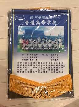 71Wq79zwOuL._AC_UF350, 71Wq79zwOuL._AC_UF350,