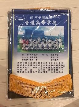 Amazon.co.jp: ダイヤのA 青道高校甲子園出場記念ペナント